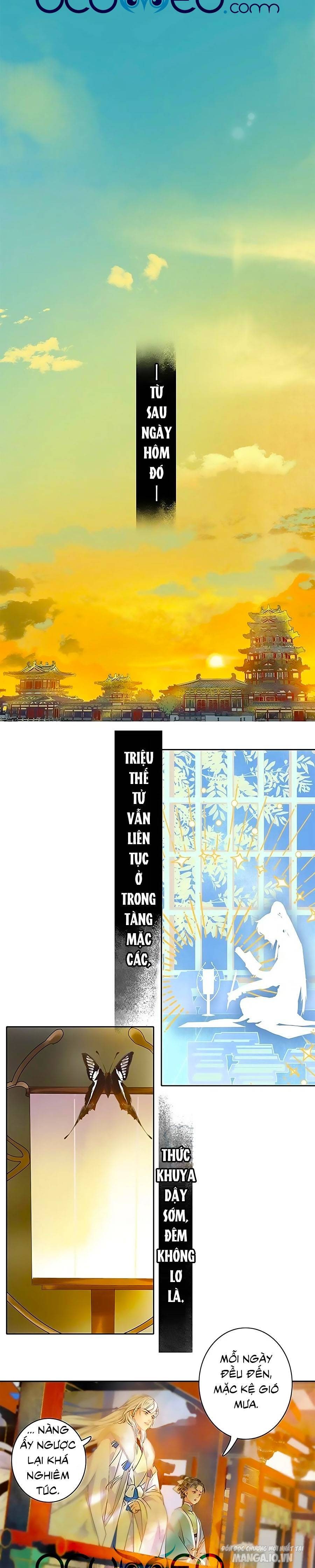 Ta Làm Lớn Ở Hậu Cung Chapter 165 - Trang 2