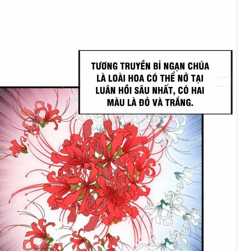 Ta Không Phải Con Cưng Của Khí Vận Chapter 222 - Trang 2