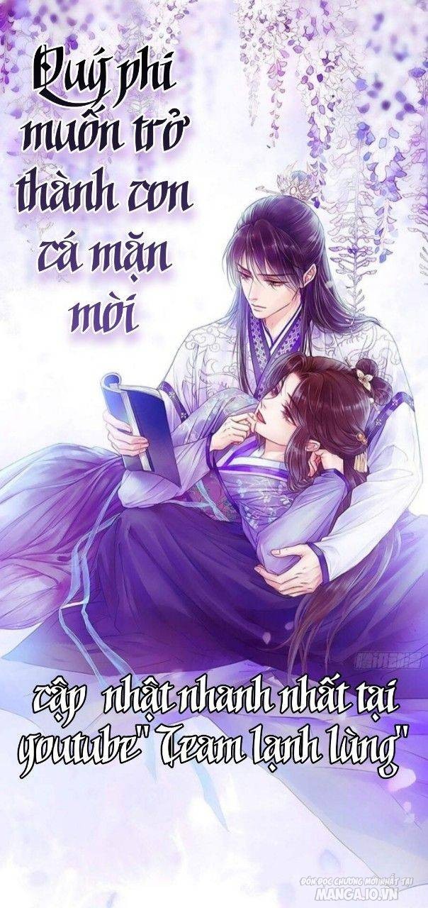 Qúy Phi Muốn Trở Thành Con Cá Mặn Mòi Chapter 68 - Trang 2