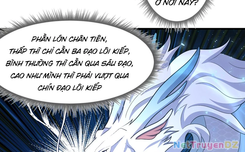 Đồ Đệ Ta Đều Là Vô Địch Đại Yêu Chapter 25 - Trang 2