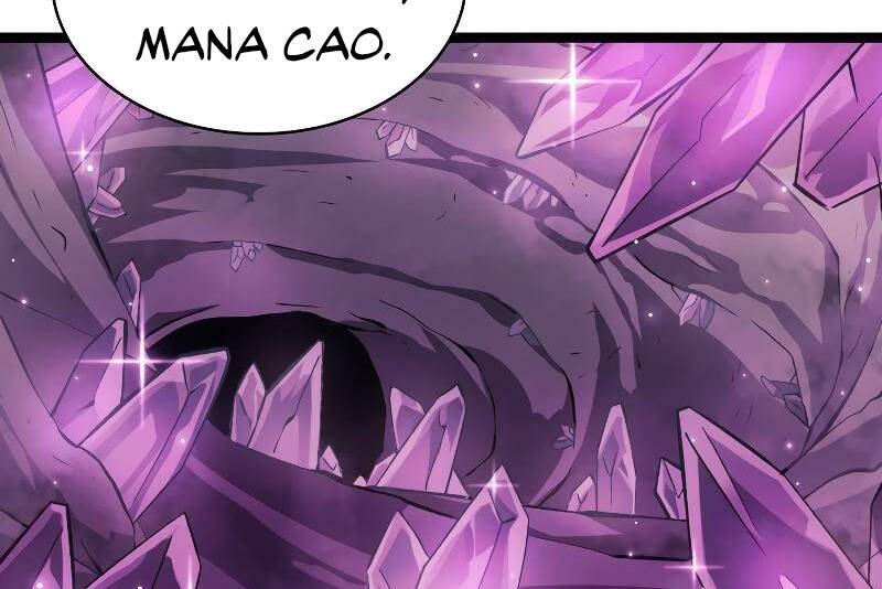 Tôi Trở Lại Thăng Cấp Một Mình Chapter 142 - Trang 2