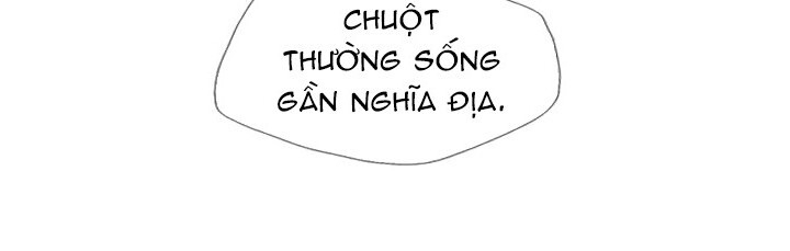 Tôi Viết Sách Để Thăng Cấp Chapter 23 - Trang 2