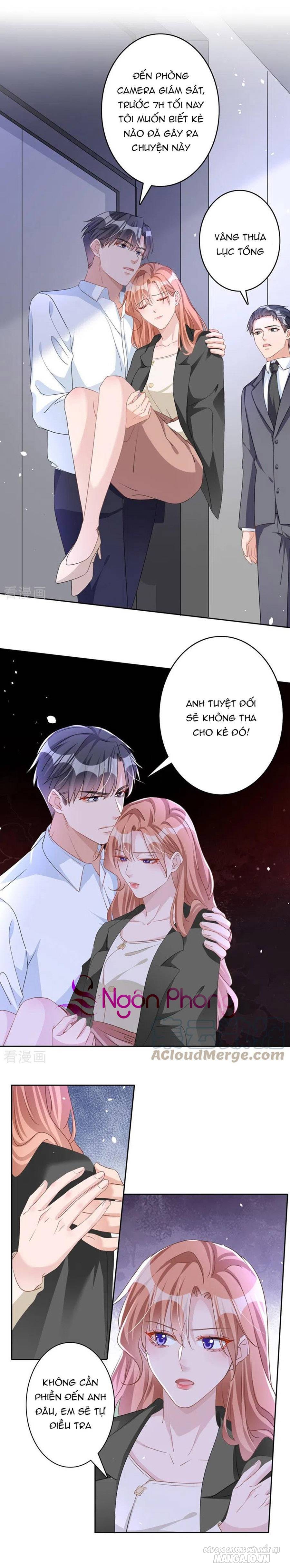 Hôm Nay Từ Chối Lục Tiên Sinh Chưa? Chapter 50 - Trang 2