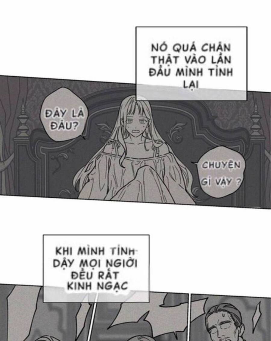 Lâu Đài Hoa Hồng Trắng Của Elise Chapter 1 - Trang 2