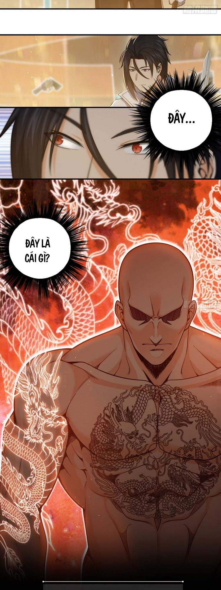 Xuyên Không Thành Chim Chapter 36 - Trang 2