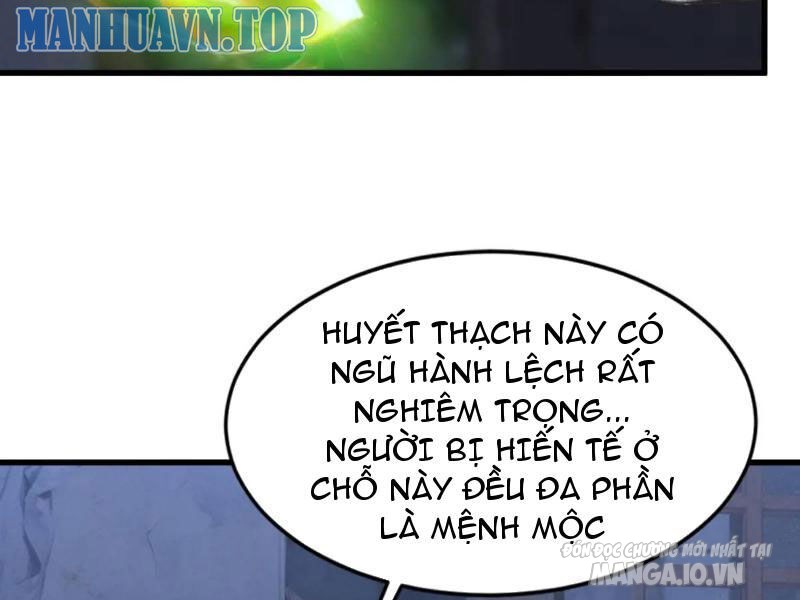 Ngươi Đẳng Cấp Gì Mà Dám Ở Trước Mặt Người Mạnh Nhất Tiên Giới Là Ta Làm Màu Chapter 40 - Trang 2