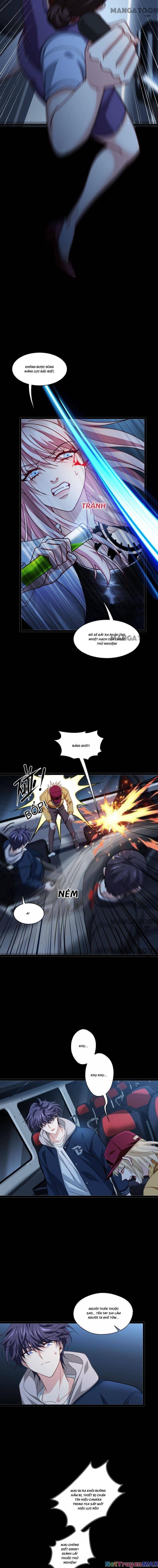 Bị Cắn Thành Vương Giả Chapter 75 - Trang 2