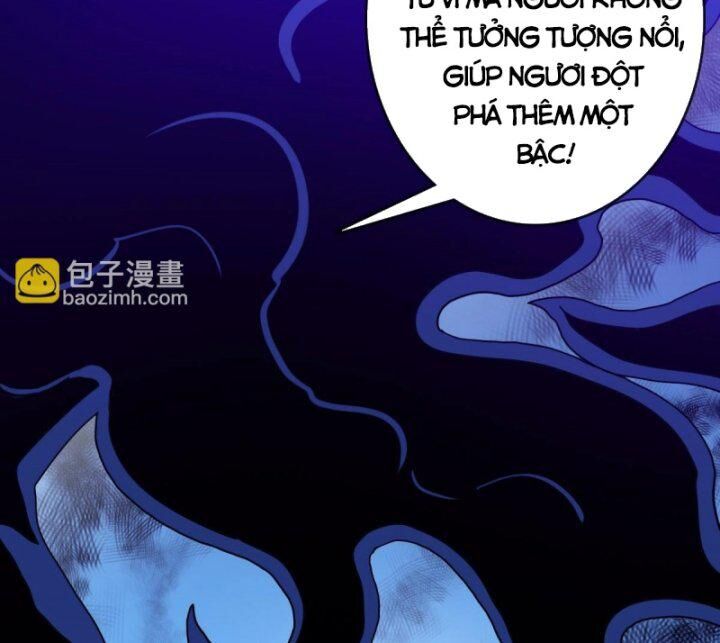 Hệ Thống Thăng Cấp Điên Cuồng Chapter 52 - Trang 2