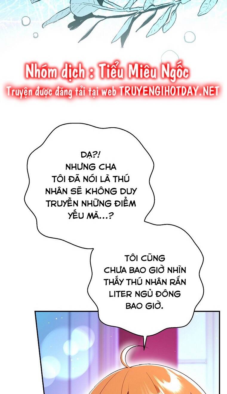 Sóc Nhỏ Tài Năng Chapter 74 - Trang 2