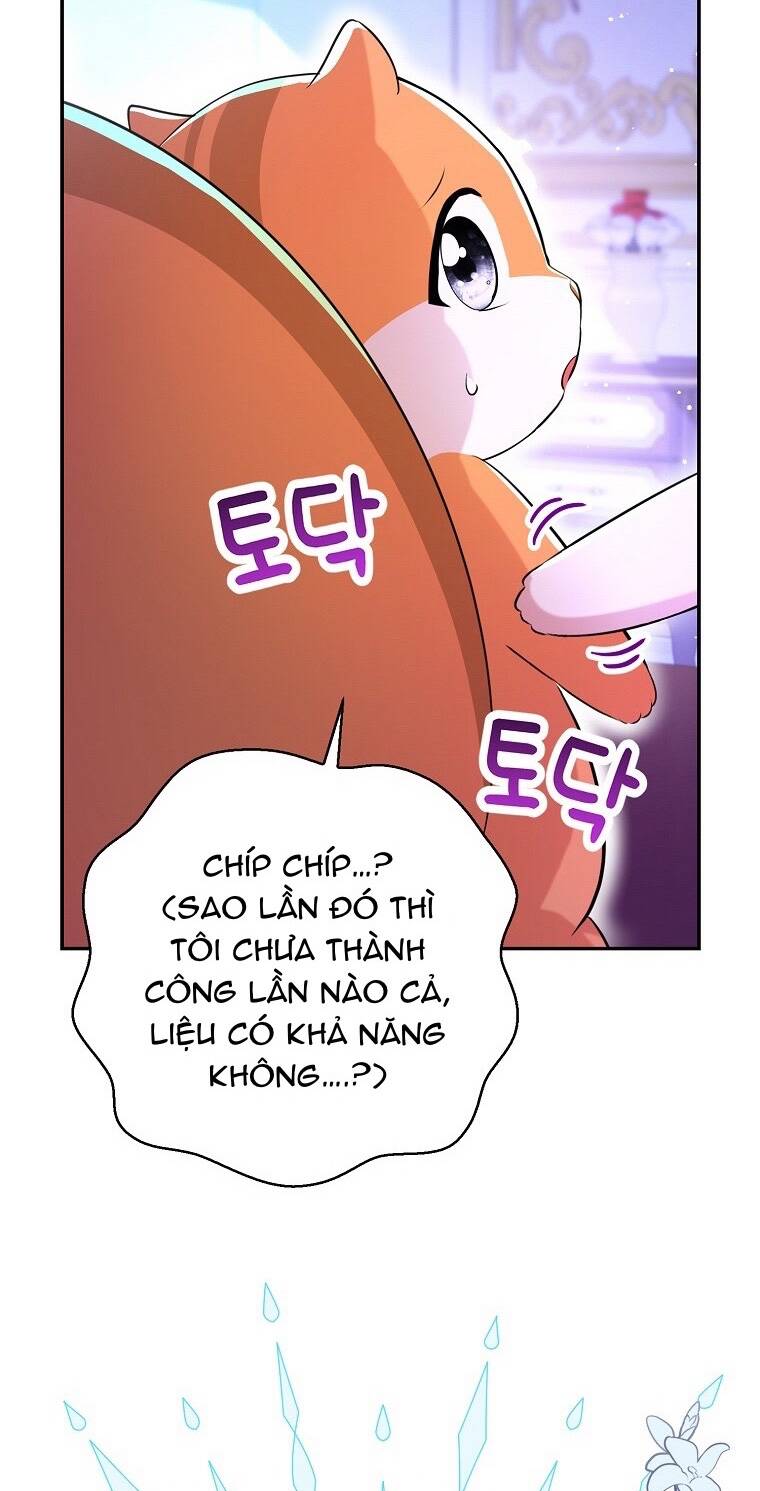 Sóc Nhỏ Tài Năng Chapter 74 - Trang 2