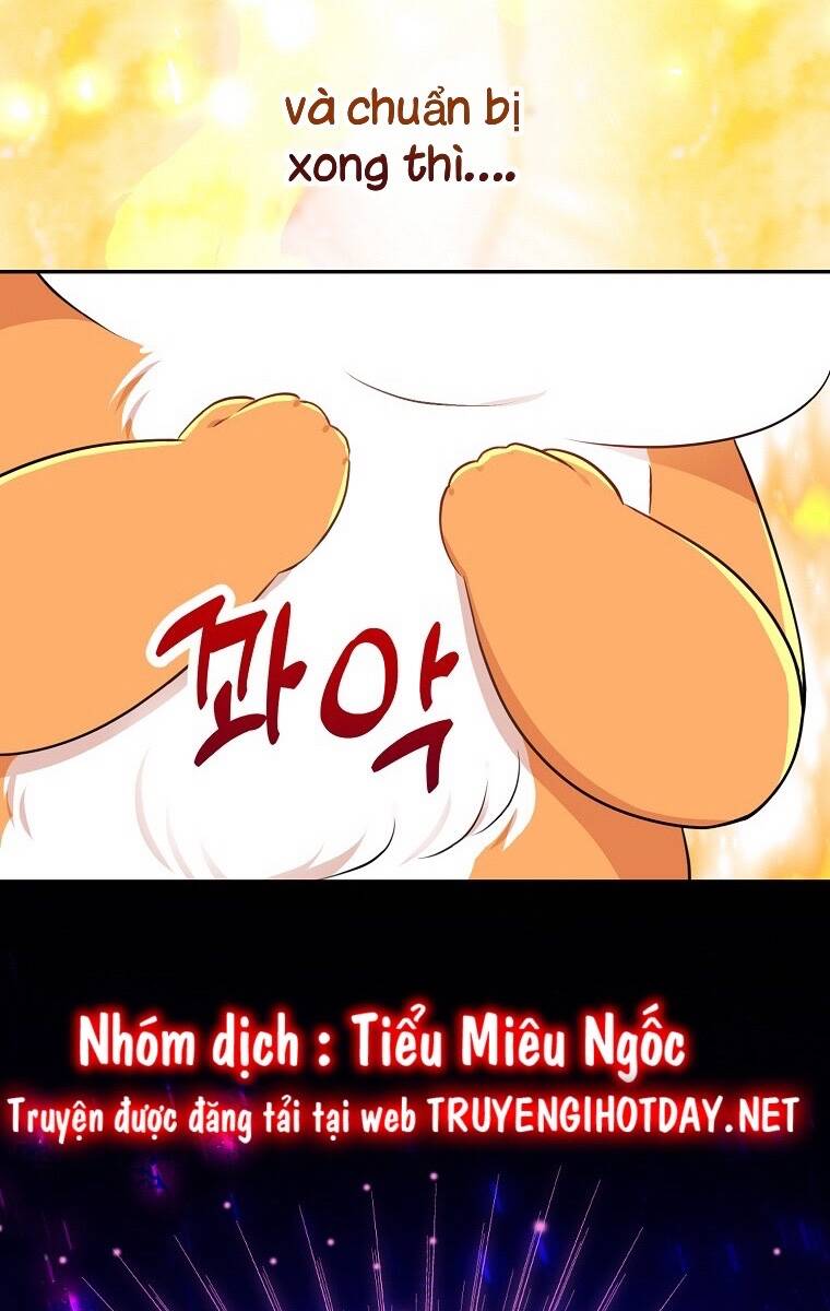 Sóc Nhỏ Tài Năng Chapter 74 - Trang 2