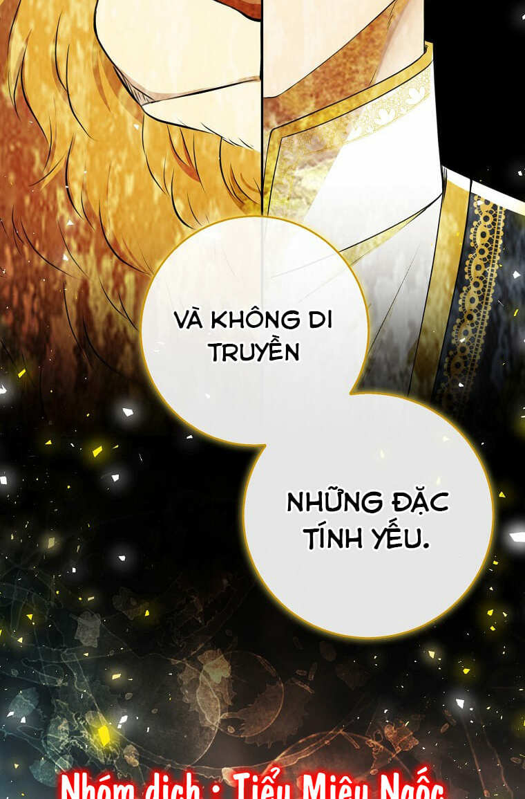 Sóc Nhỏ Tài Năng Chapter 73 - Trang 2