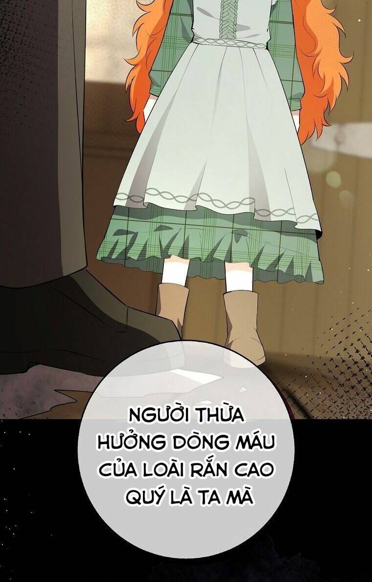 Sóc Nhỏ Tài Năng Chapter 70 - Trang 2