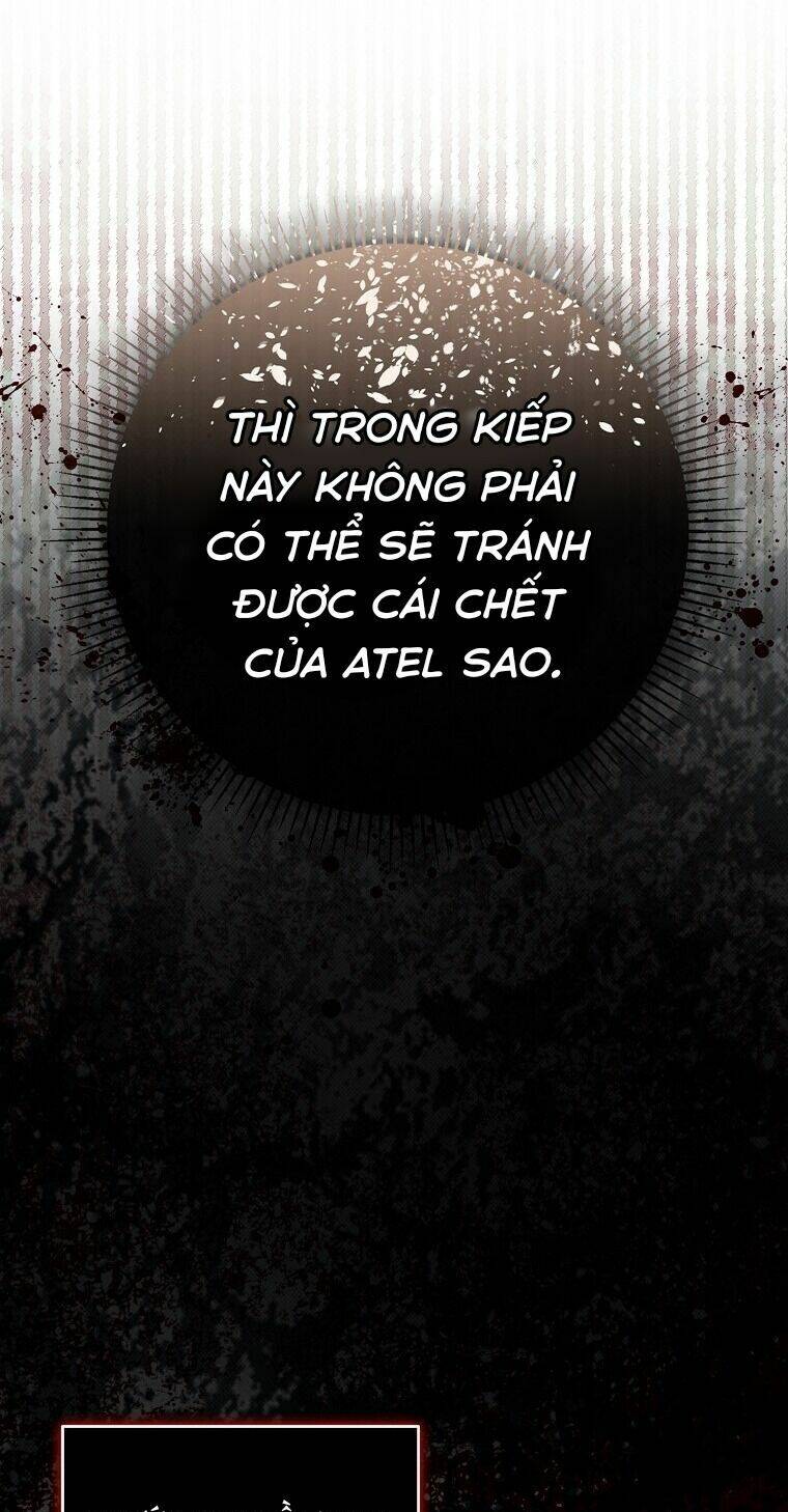 Sóc Nhỏ Tài Năng Chapter 70 - Trang 2