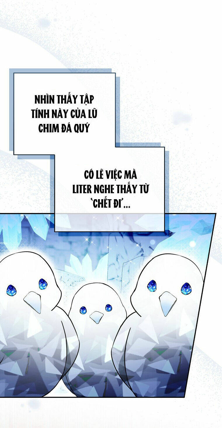 Sóc Nhỏ Tài Năng Chapter 50 - Trang 2