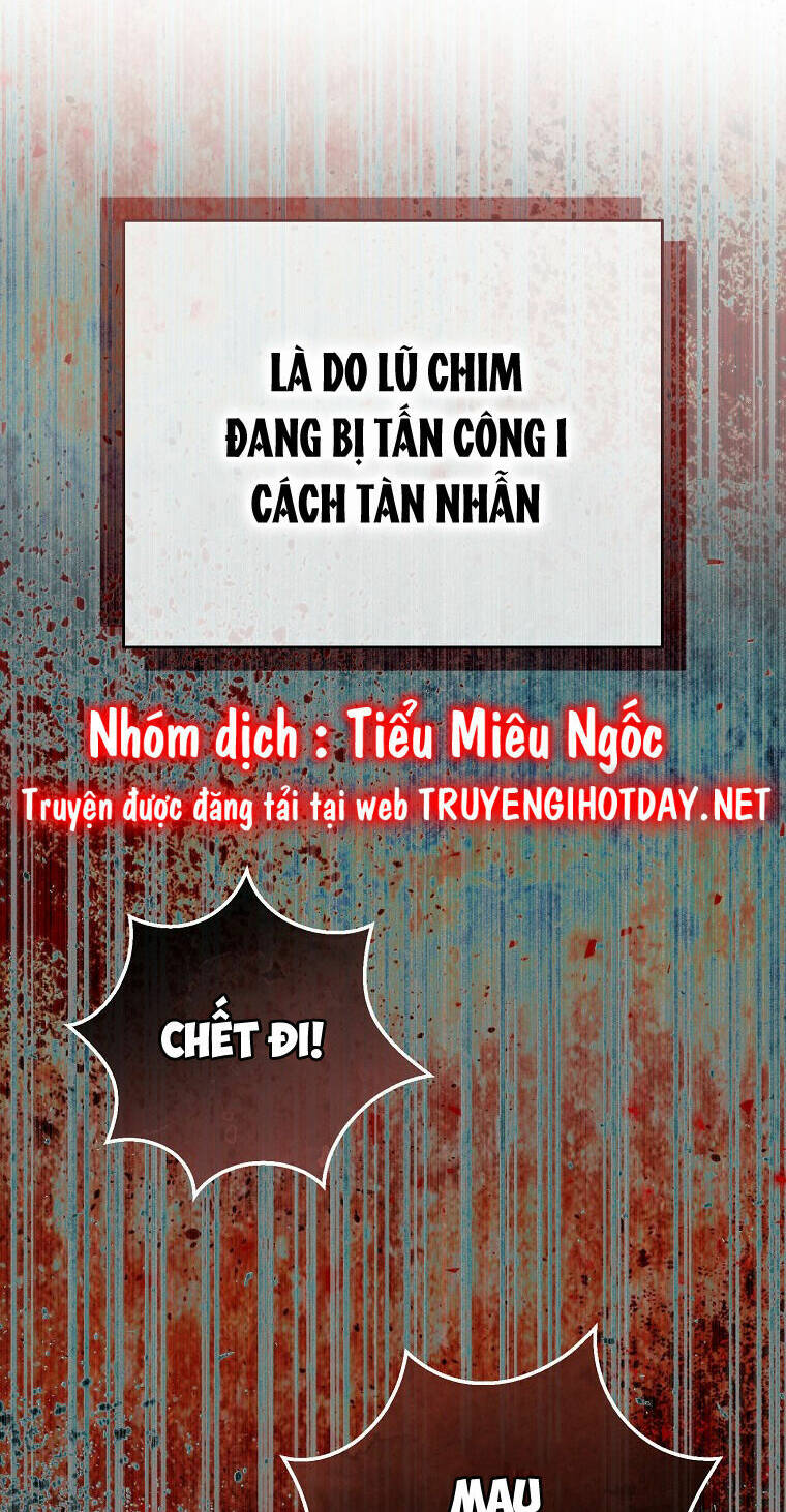 Sóc Nhỏ Tài Năng Chapter 50 - Trang 2