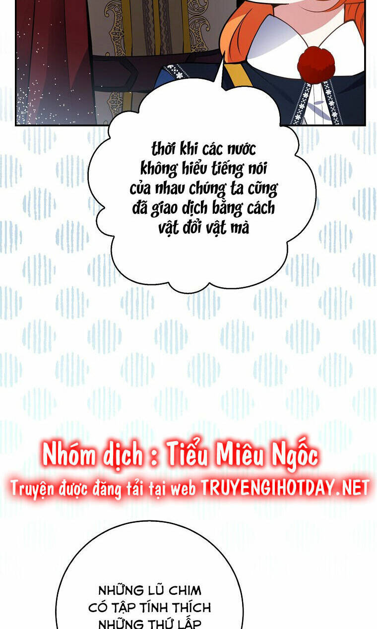 Sóc Nhỏ Tài Năng Chapter 50 - Trang 2