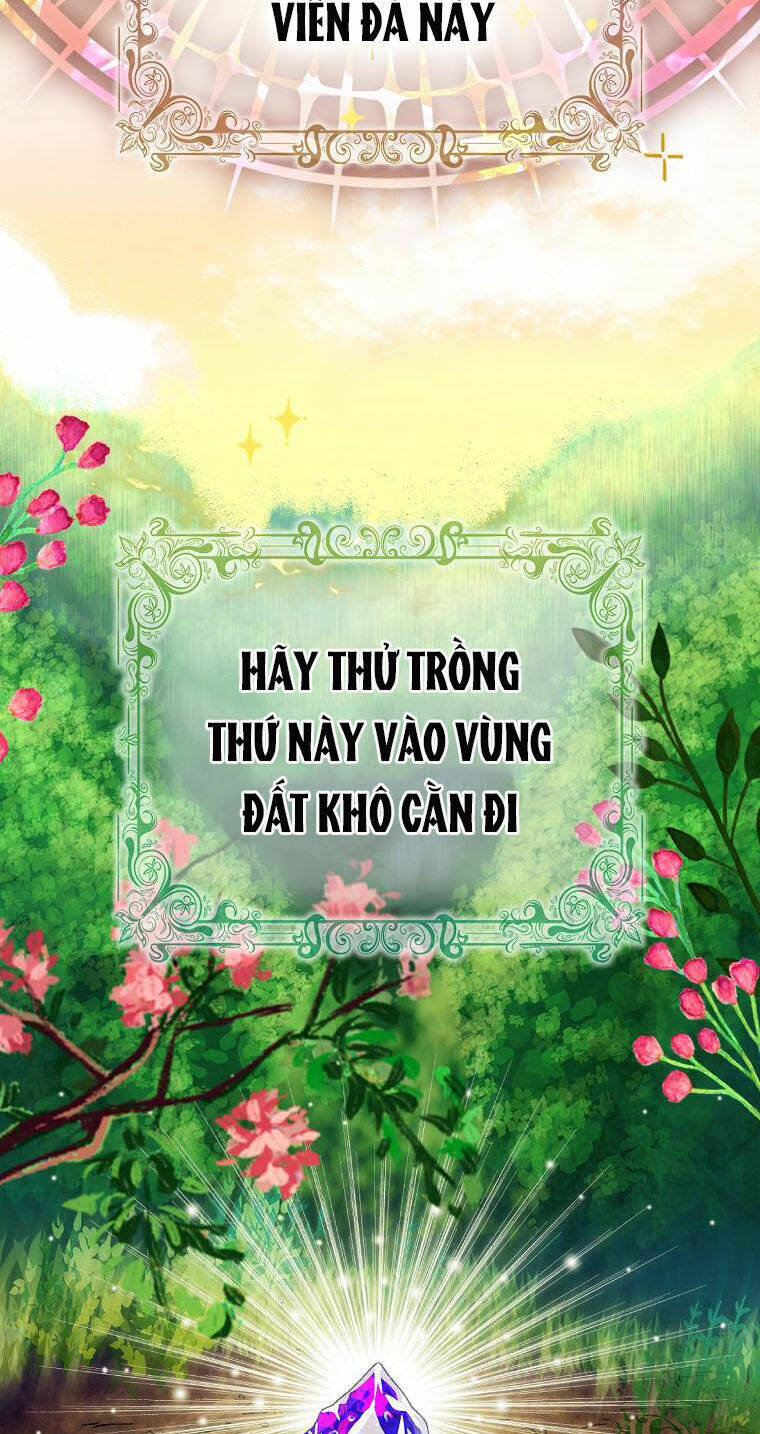 Sóc Nhỏ Tài Năng Chapter 49 - Trang 2