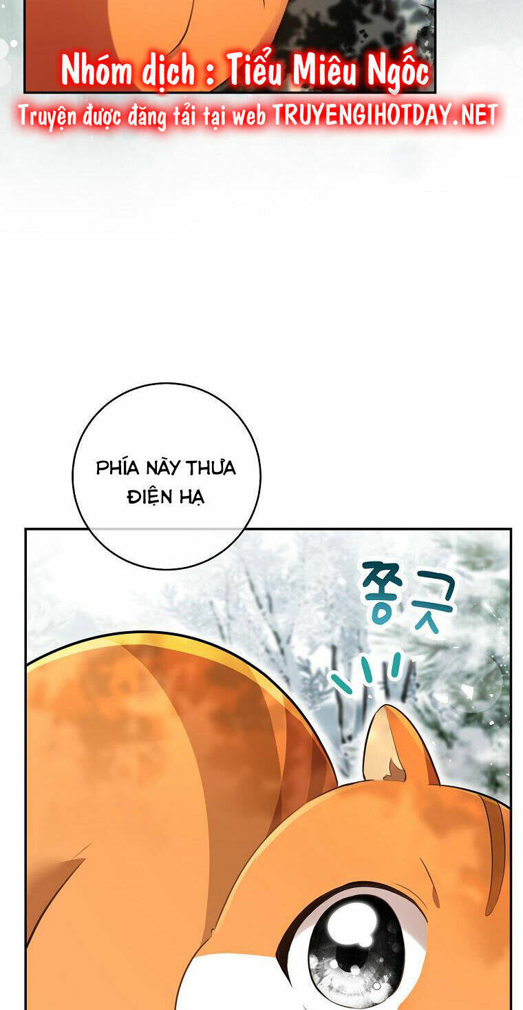 Sóc Nhỏ Tài Năng Chapter 48 - Trang 2