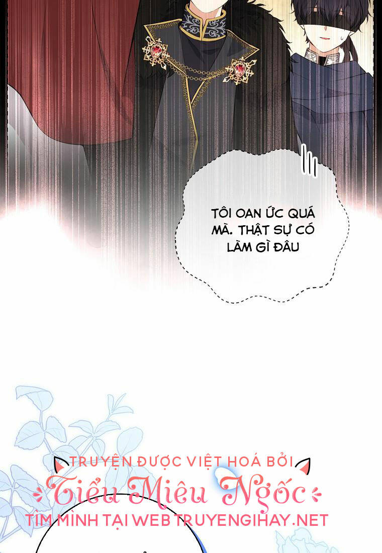 Sóc Nhỏ Tài Năng Chapter 41 - Trang 2