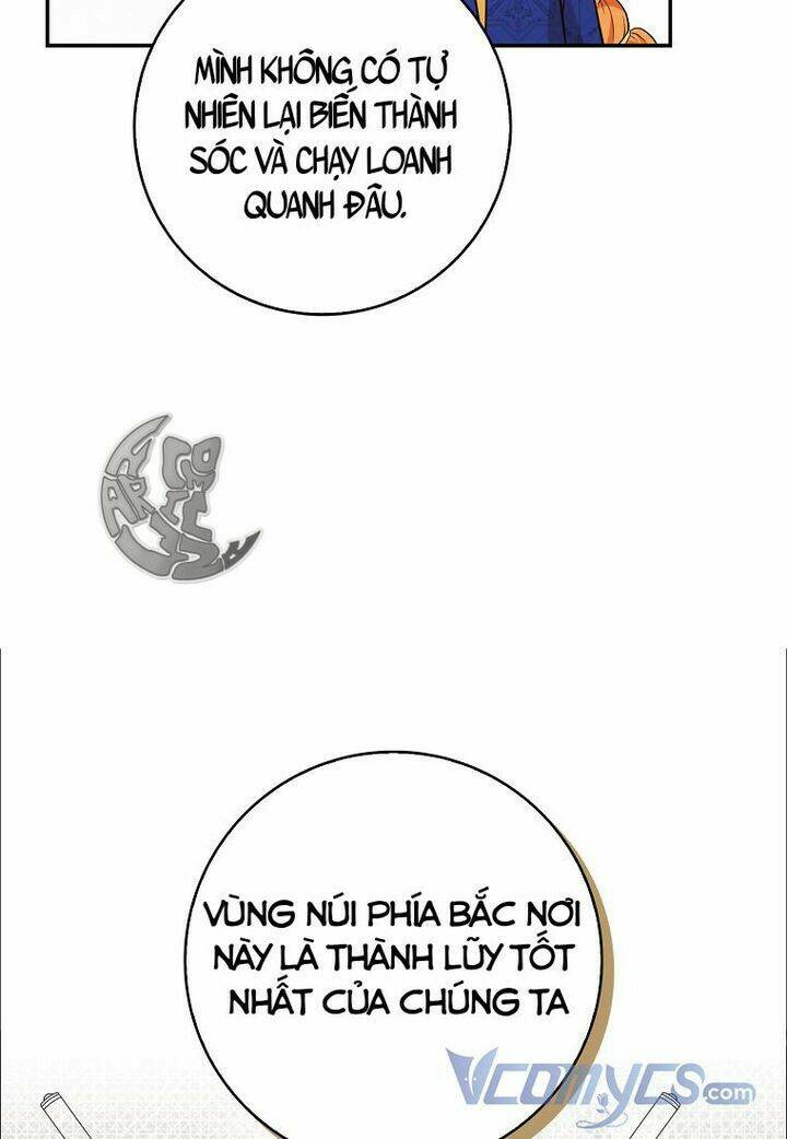 Sóc Nhỏ Tài Năng Chapter 18 - Trang 2