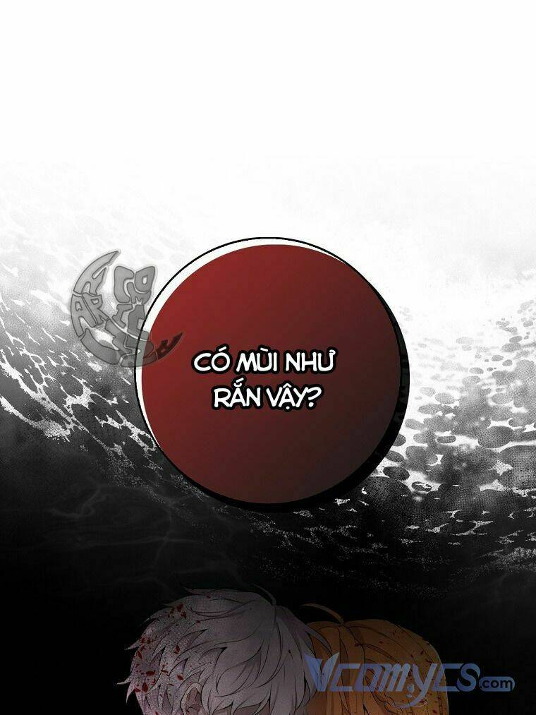 Sóc Nhỏ Tài Năng Chapter 4 - Trang 2