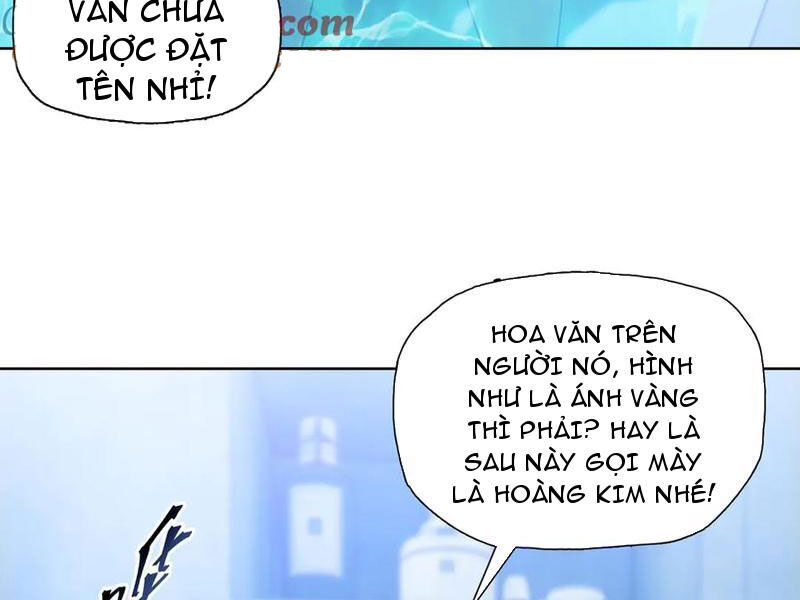 Kẻ Tàn Nhẫn Ngày Tận Thế: Bắt Đầu Dự Trữ Hàng Tỷ Tấn Vật Tư Chapter 40 - Trang 2