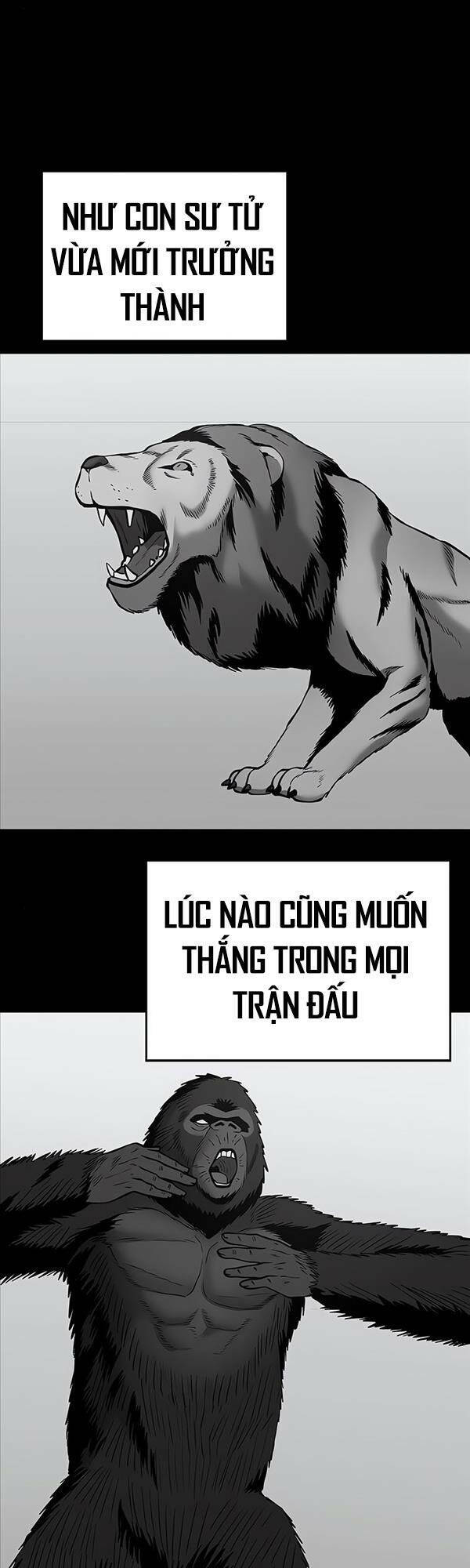 Giang Hồ Thực Thi Công Lý Chapter 49 - Trang 2