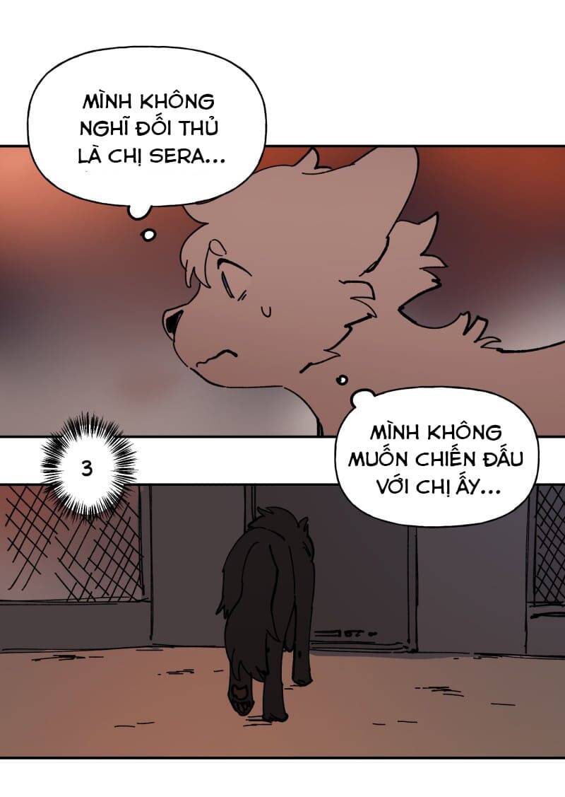 Lumine Chapter 113 - Trang 2