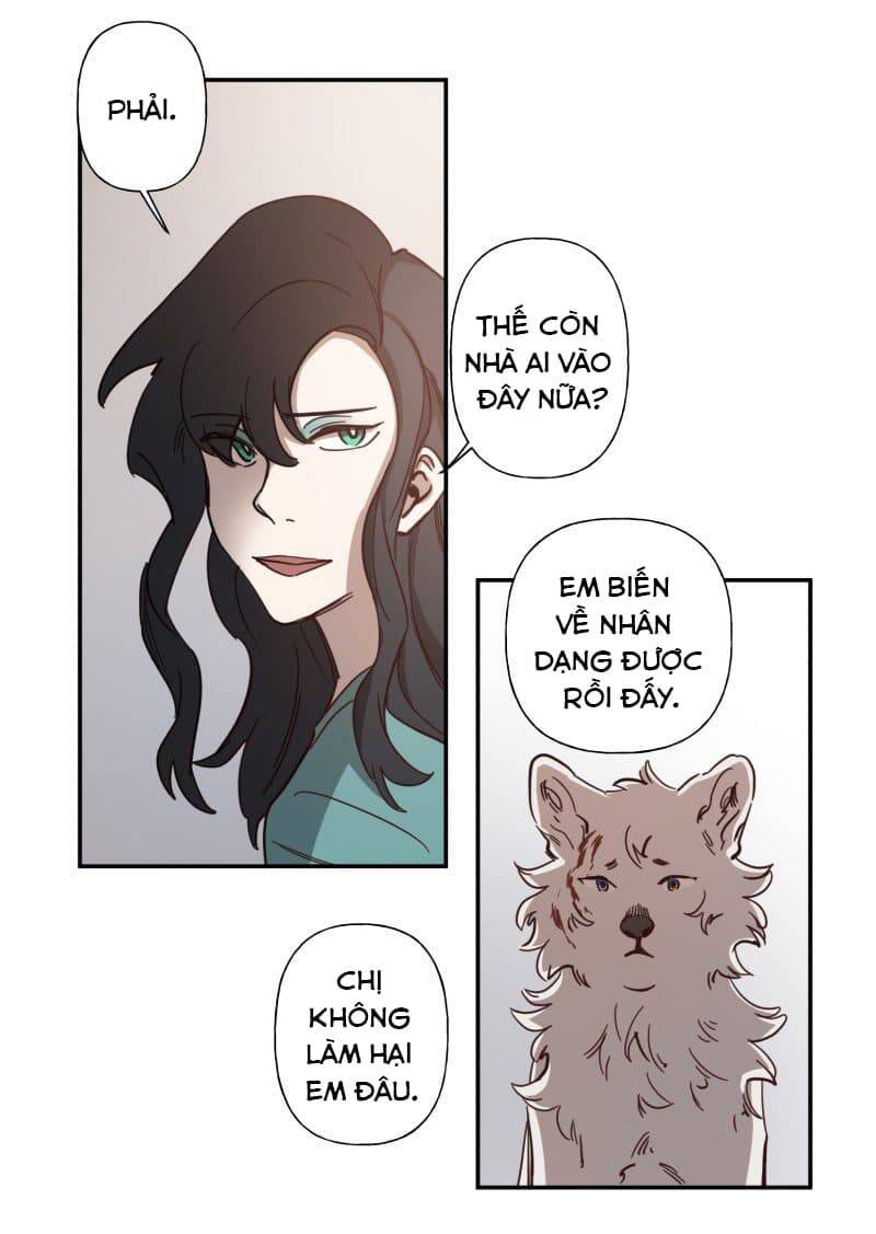 Lumine Chapter 80 - Trang 2