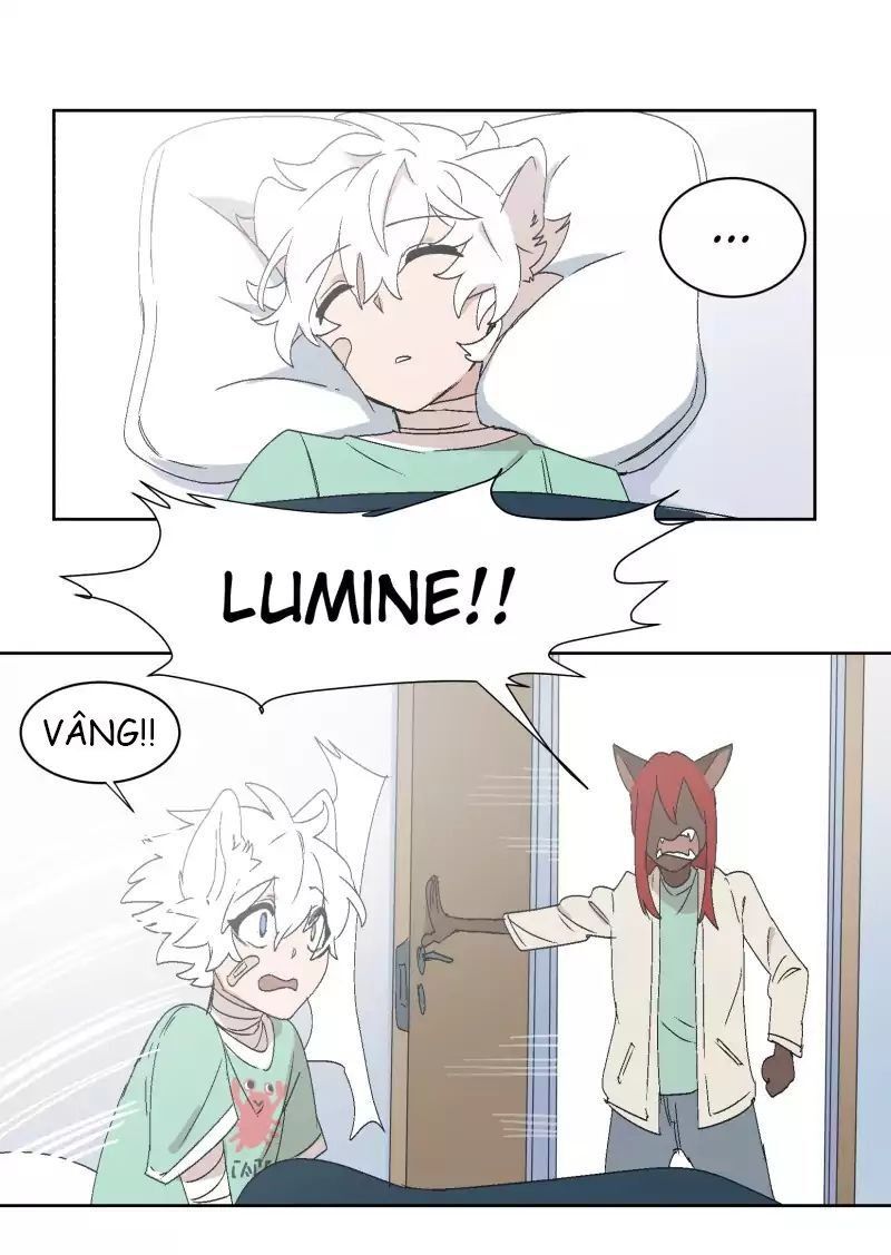 Lumine Chapter 30 - Trang 2