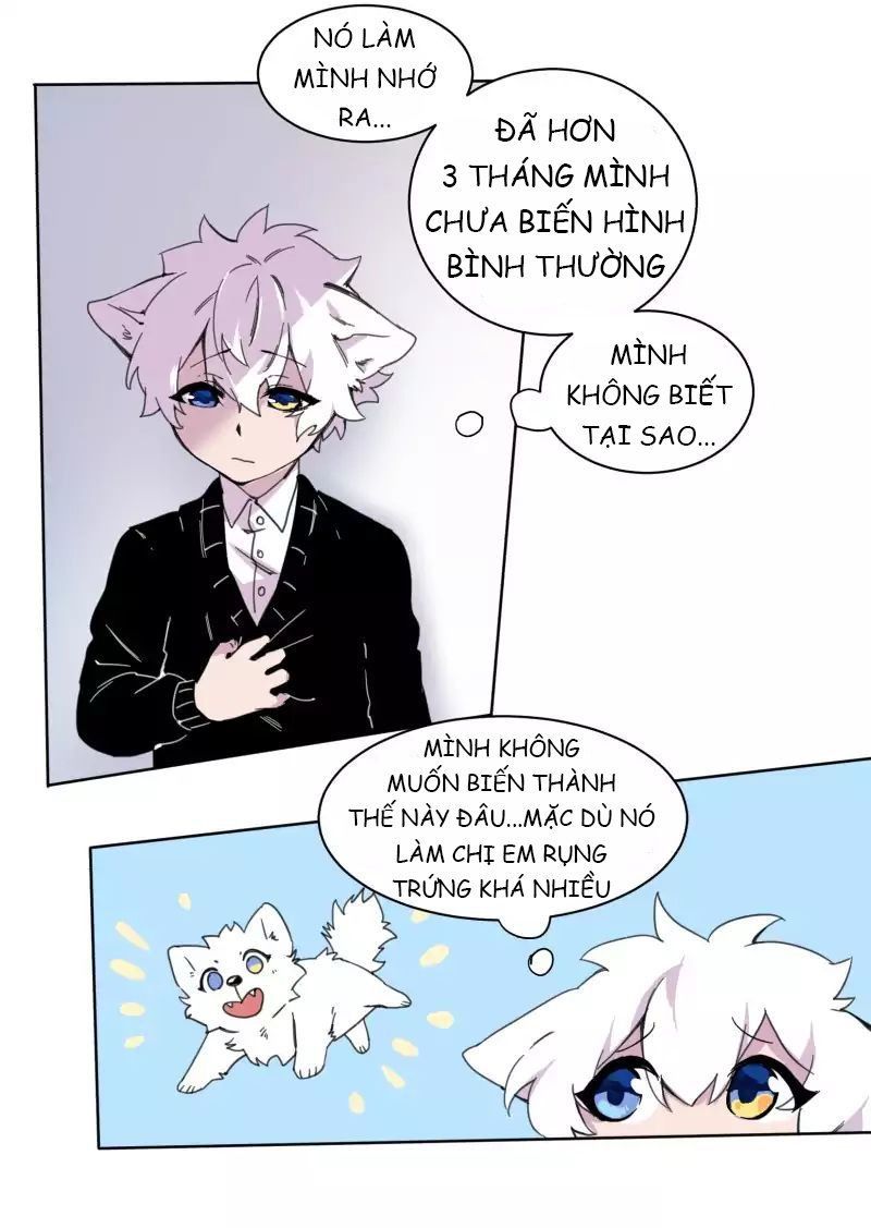 Lumine Chapter 19 - Trang 2