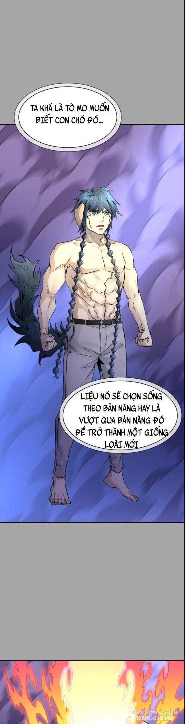 Tòa Tháp Bí Ẩn Chapter 527 - Trang 2