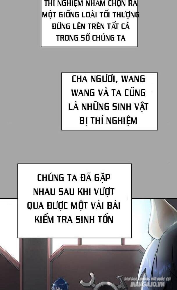 Tòa Tháp Bí Ẩn Chapter 526 - Trang 2