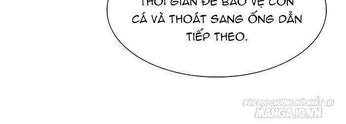 Tòa Tháp Bí Ẩn Chapter 264 - Trang 2