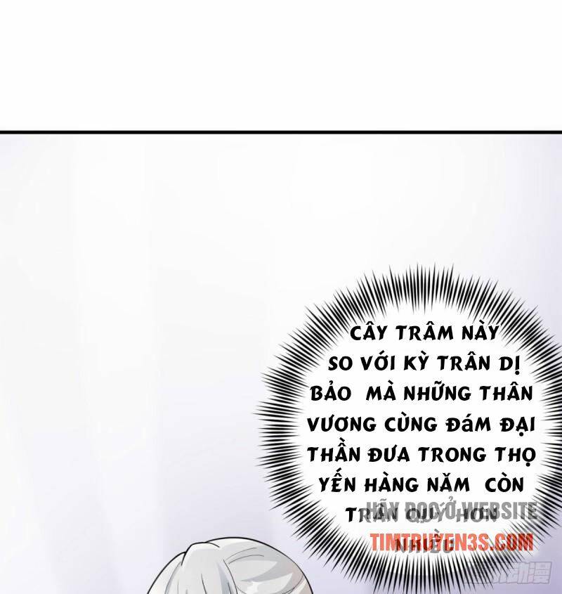 Vợ Tôi Và Tôi Thống Trị Tam Giới Chapter 14 - Trang 2