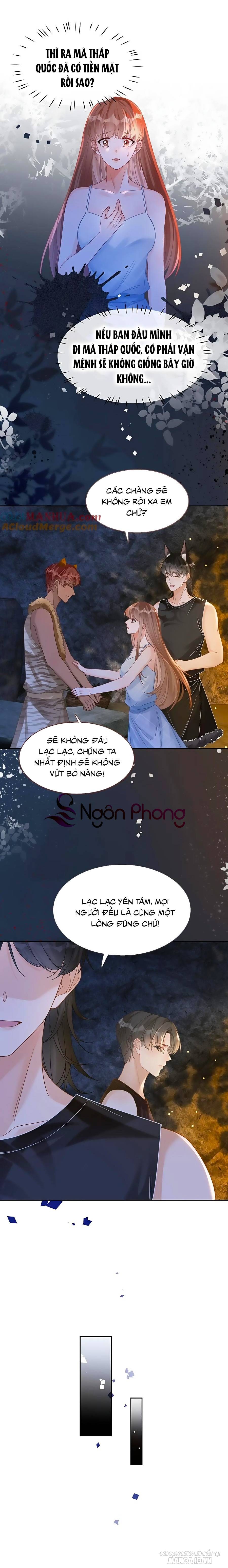 Xuyên Nhanh Nữ Phụ Bình Tĩnh Chút Chapter 176 - Trang 2