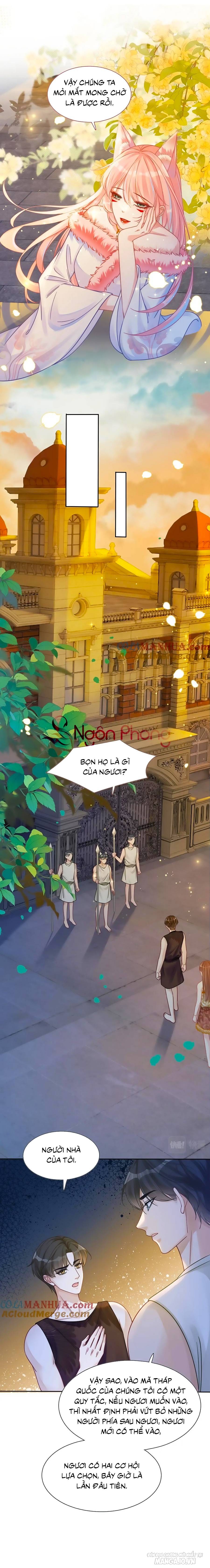 Xuyên Nhanh Nữ Phụ Bình Tĩnh Chút Chapter 173 - Trang 2