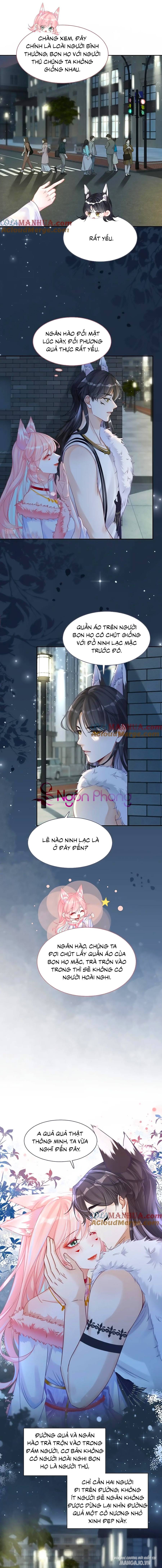 Xuyên Nhanh Nữ Phụ Bình Tĩnh Chút Chapter 172 - Trang 2