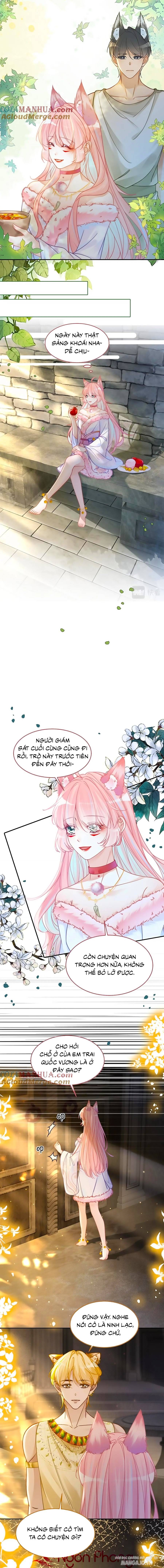 Xuyên Nhanh Nữ Phụ Bình Tĩnh Chút Chapter 168 - Trang 2