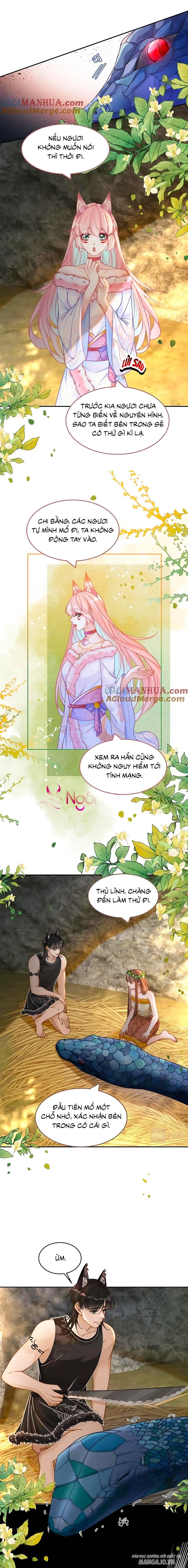 Xuyên Nhanh Nữ Phụ Bình Tĩnh Chút Chapter 167 - Trang 2