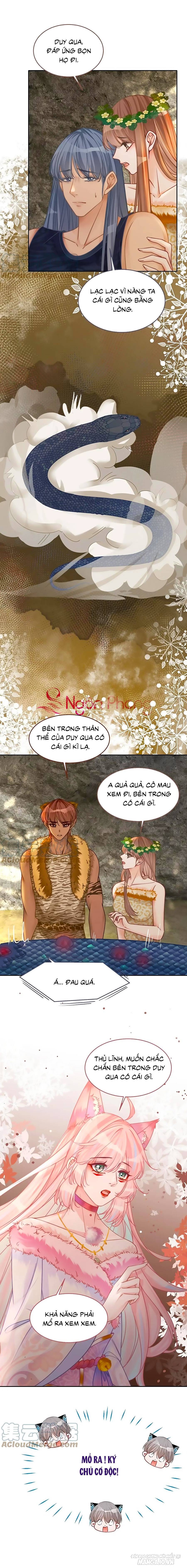 Xuyên Nhanh Nữ Phụ Bình Tĩnh Chút Chapter 166 - Trang 2