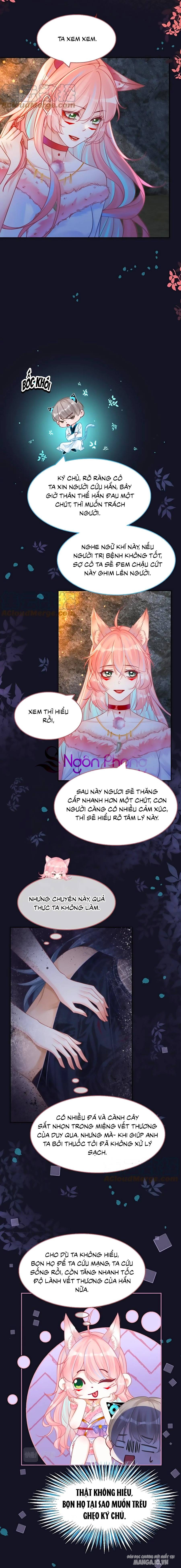 Xuyên Nhanh Nữ Phụ Bình Tĩnh Chút Chapter 166 - Trang 2