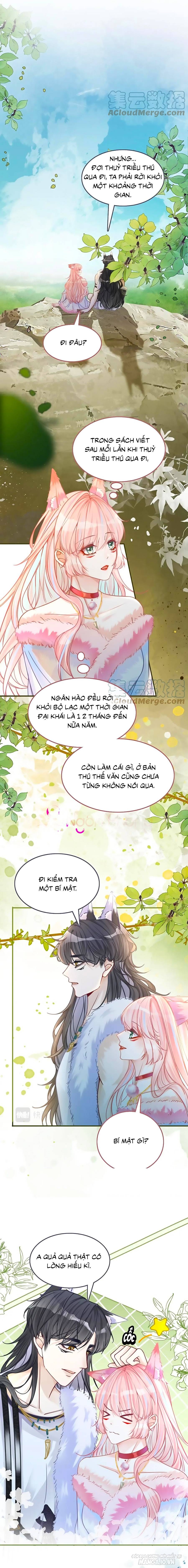 Xuyên Nhanh Nữ Phụ Bình Tĩnh Chút Chapter 164 - Trang 2