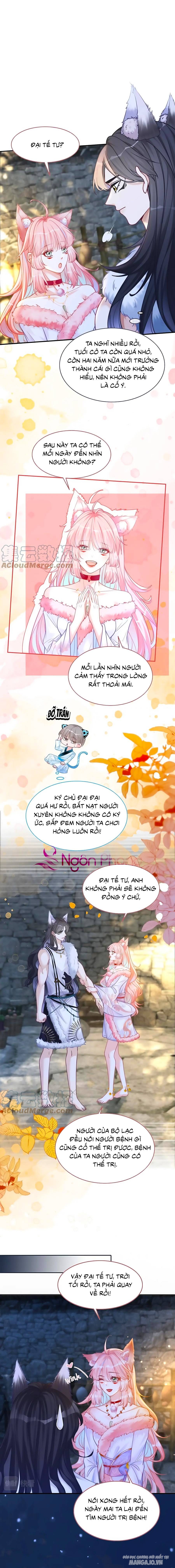 Xuyên Nhanh Nữ Phụ Bình Tĩnh Chút Chapter 152 - Trang 2