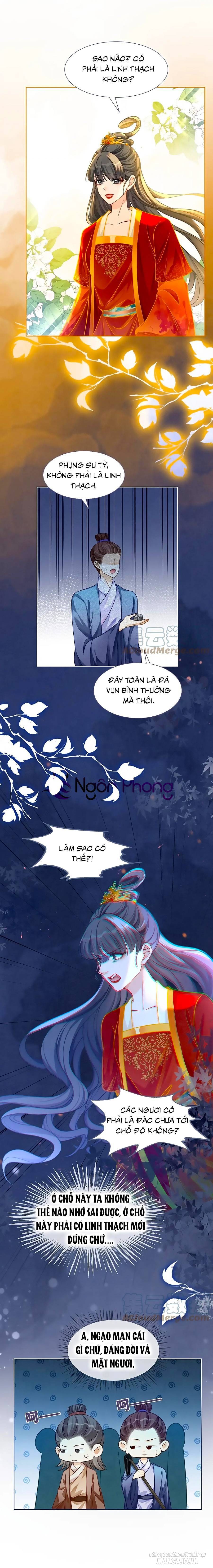 Xuyên Nhanh Nữ Phụ Bình Tĩnh Chút Chapter 137 - Trang 2