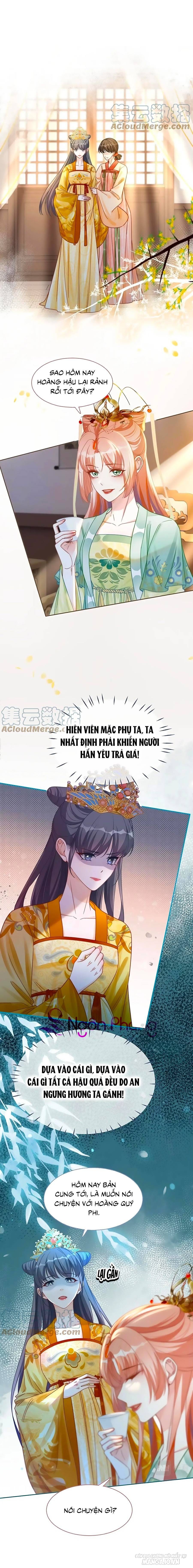 Xuyên Nhanh Nữ Phụ Bình Tĩnh Chút Chapter 128 - Trang 2