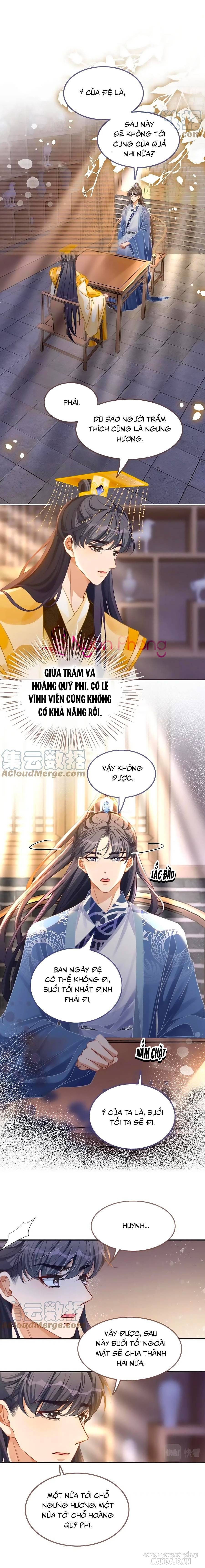 Xuyên Nhanh Nữ Phụ Bình Tĩnh Chút Chapter 124 - Trang 2