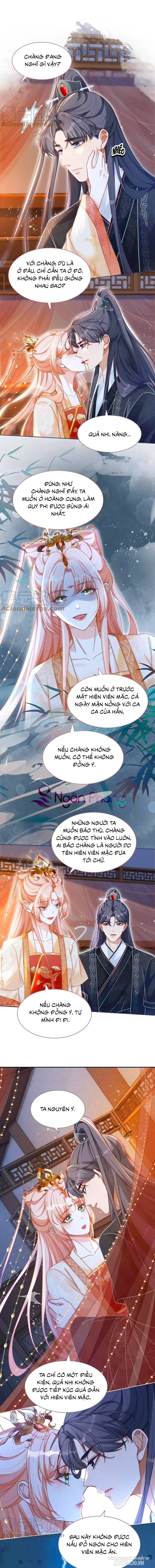 Xuyên Nhanh Nữ Phụ Bình Tĩnh Chút Chapter 113 - Trang 2