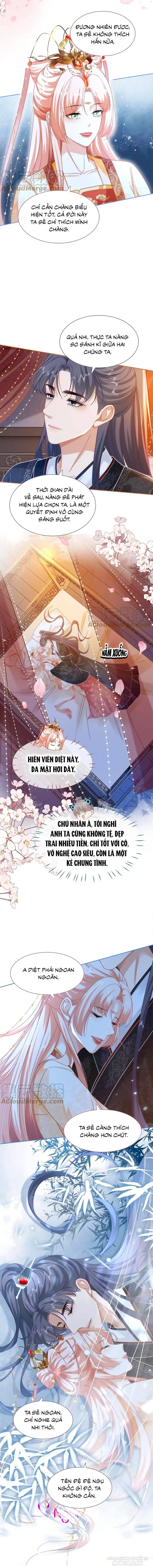 Xuyên Nhanh Nữ Phụ Bình Tĩnh Chút Chapter 113 - Trang 2